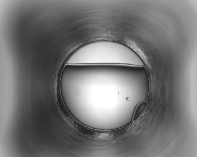 X0000096460058200801241126