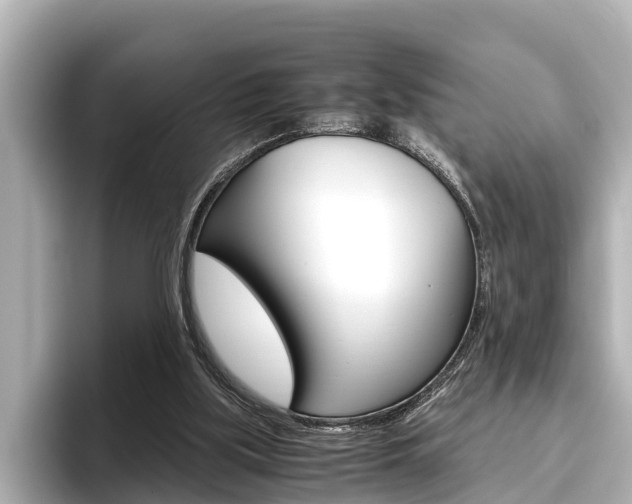 X0000096460059200801241126