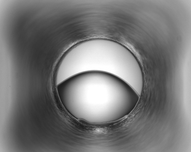 X0000096460060200801241126