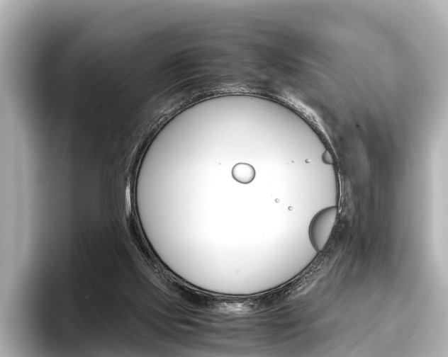 X0000096460061200801241126