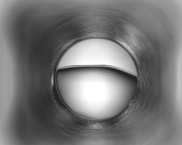 X0000096460062200801241126