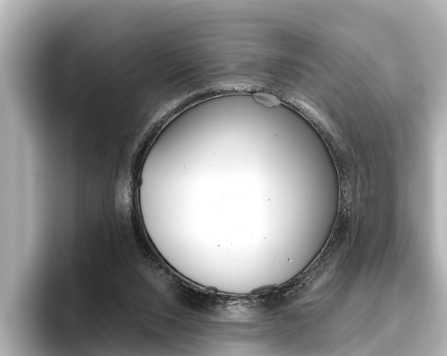 X0000096460064200801241126