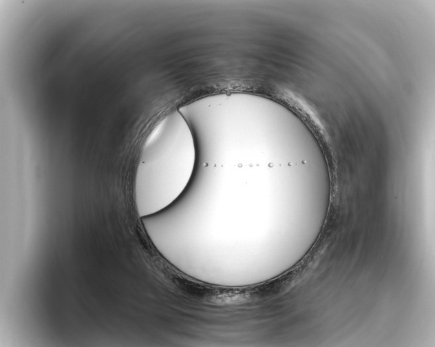 X0000096460065200801241126