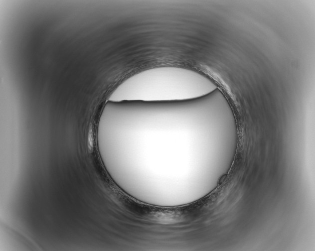 X0000096460069200801241126