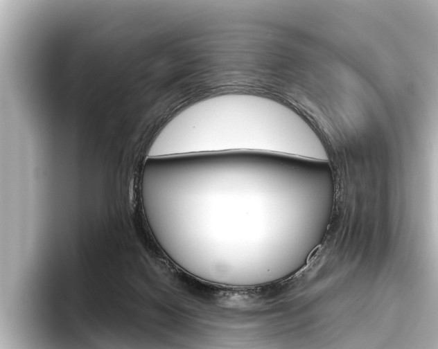X0000096460074200801241126