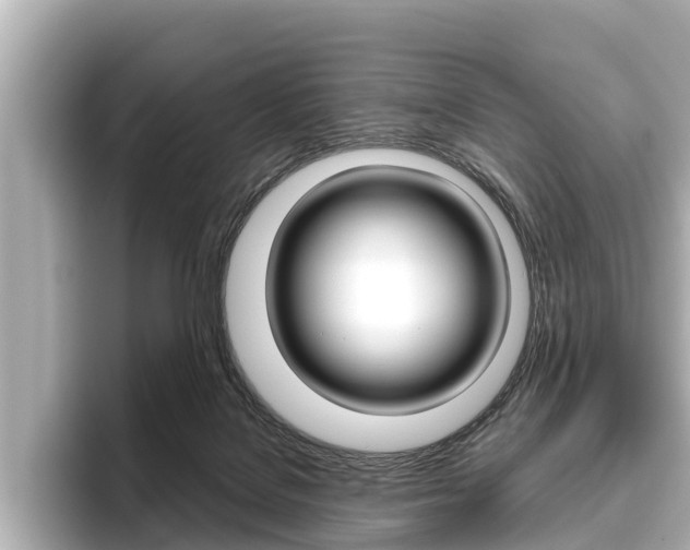 X0000096460076200801241126