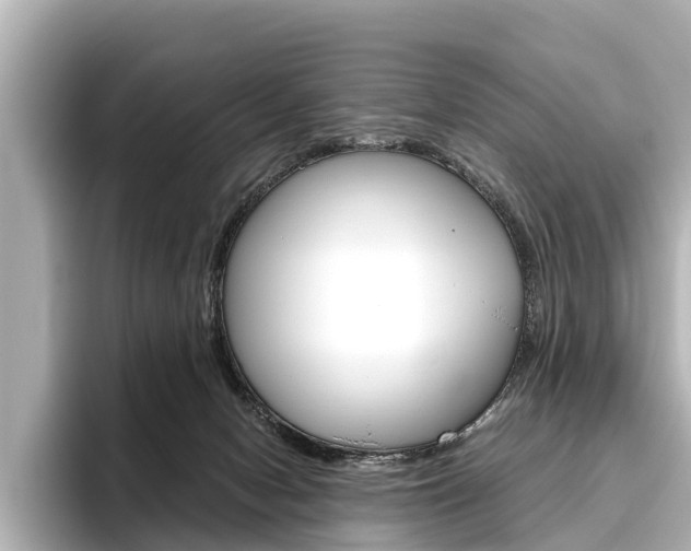 X0000096460078200801241126