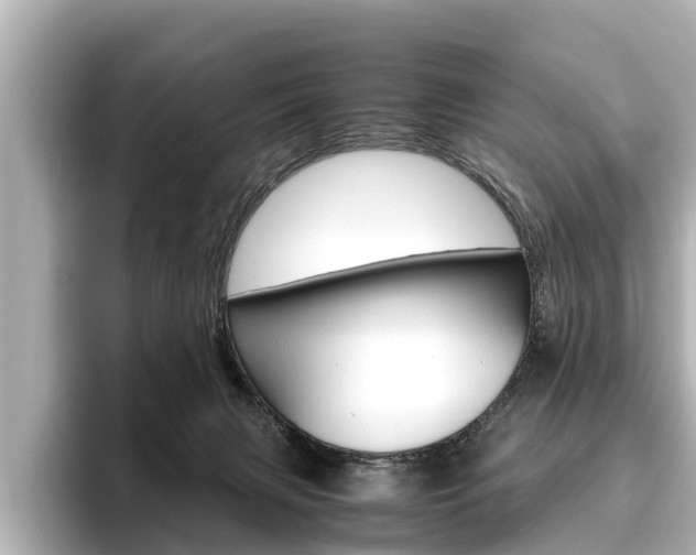 X0000096460079200801241126