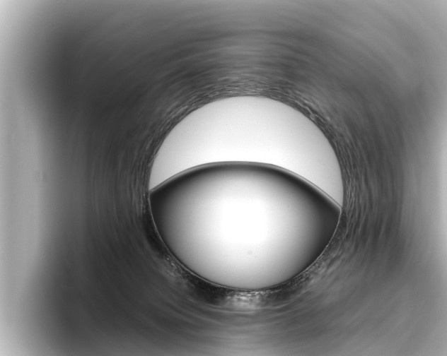 X0000096460084200801241126