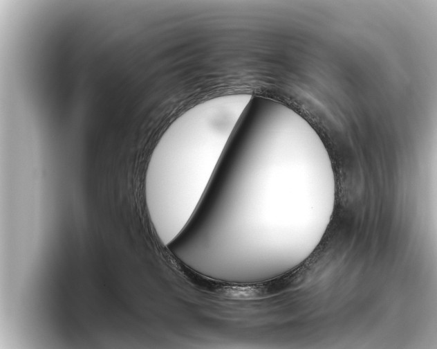 X0000096460085200801241126