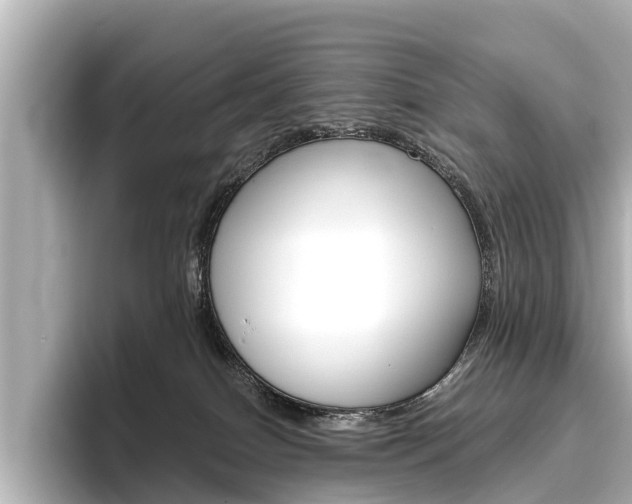 X0000096460086200801241126