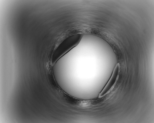 X0000096460088200801241126