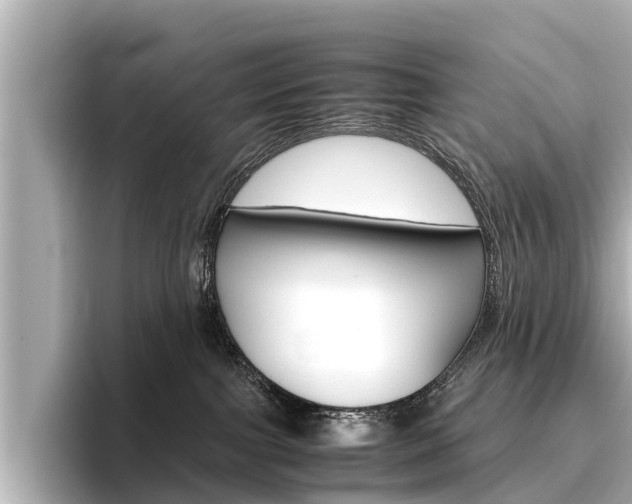 X0000096460091200801241126