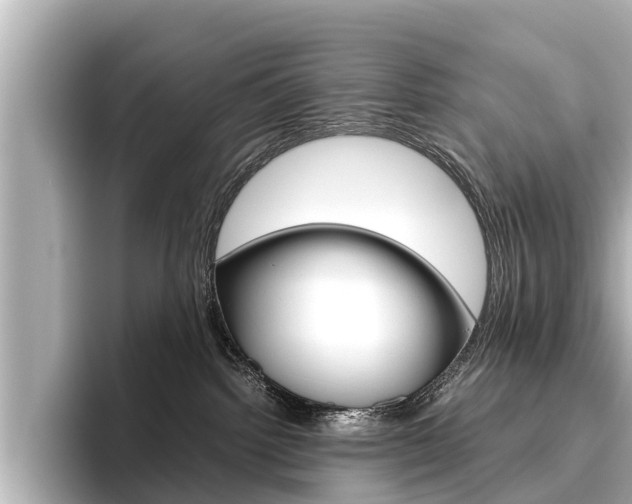 X0000096460092200801241126