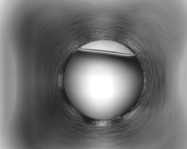 X0000096460096200801241127