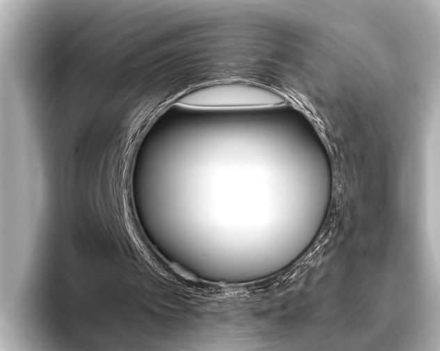 X0000096460097200801241126