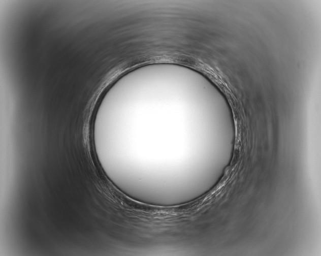 X0000096460099200801241126