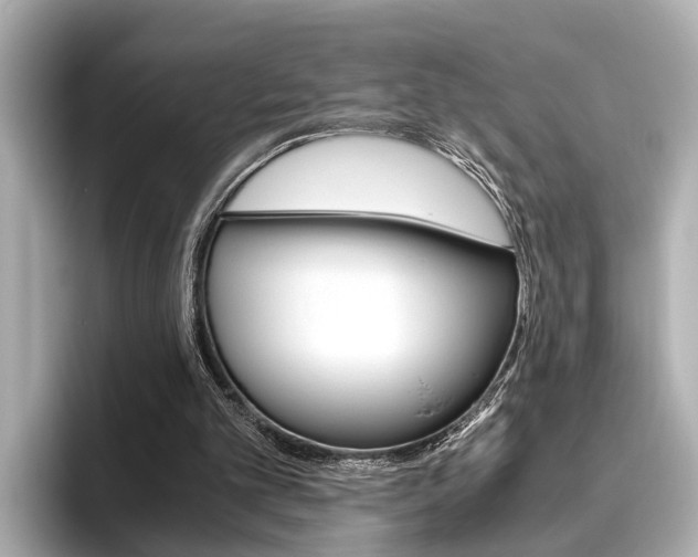 X0000096460101200801241126