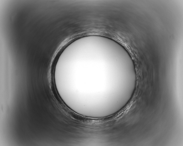 X0000096460102200801241126