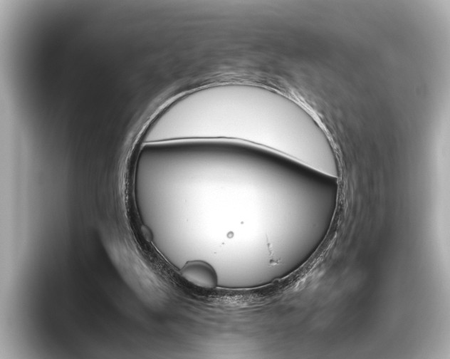 X0000096460103200801241126
