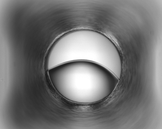 X0000096460108200801241126