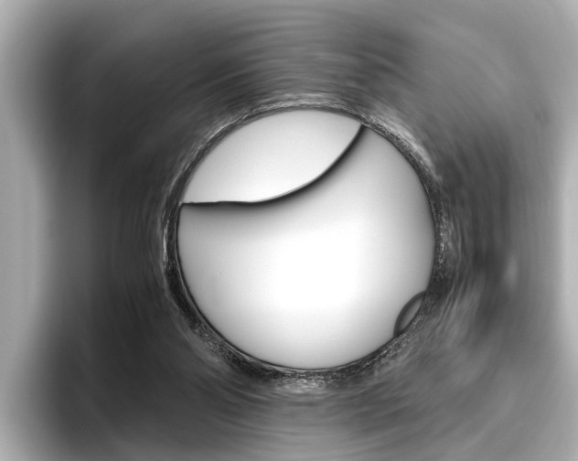X0000096460110200801241126