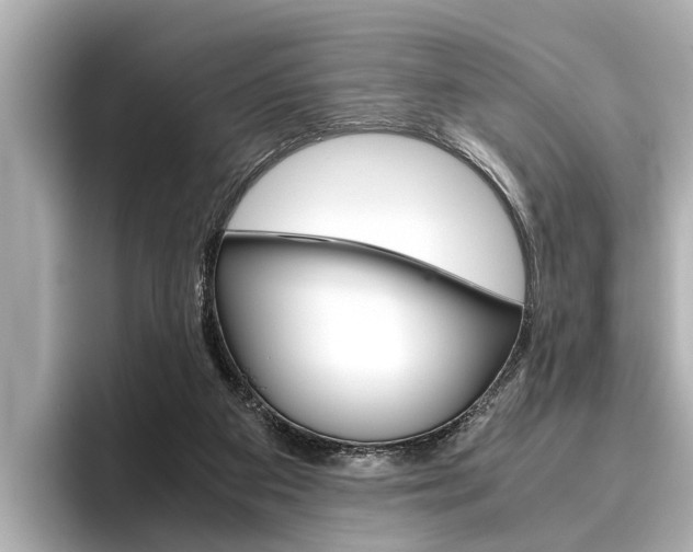 X0000096460113200801241126