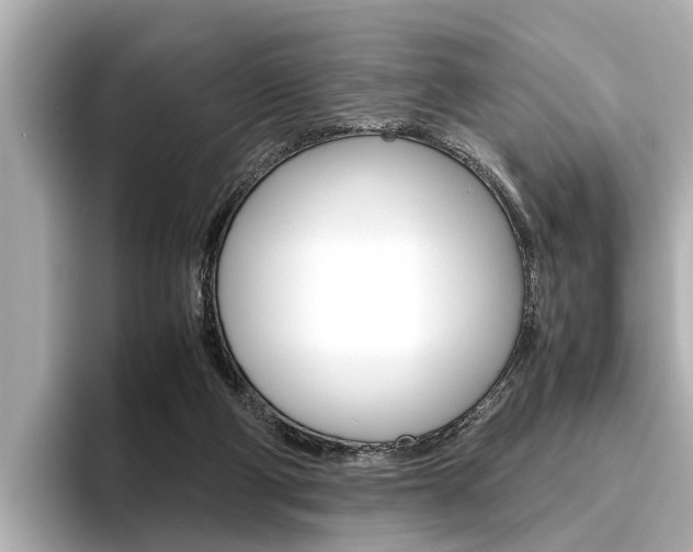 X0000096460114200801241126