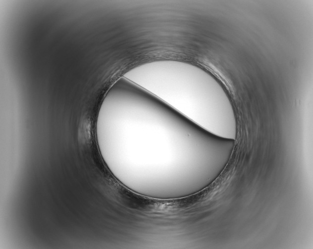 X0000096460117200801241126