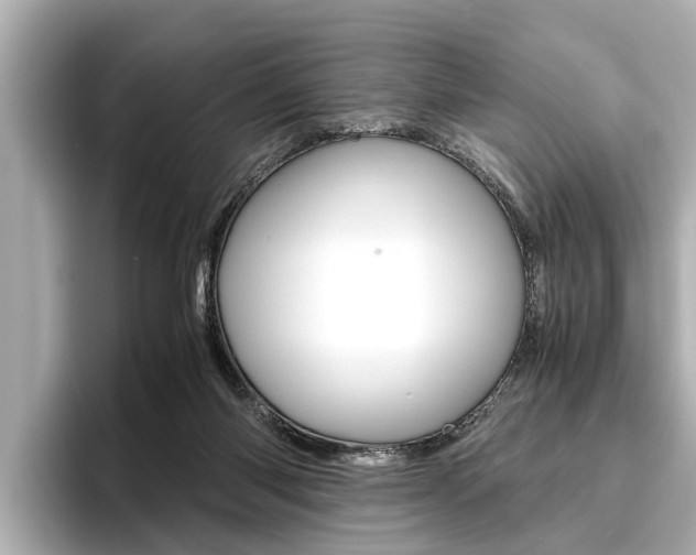 X0000096460118200801241126