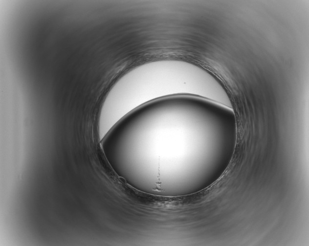 X0000096460120200801241126