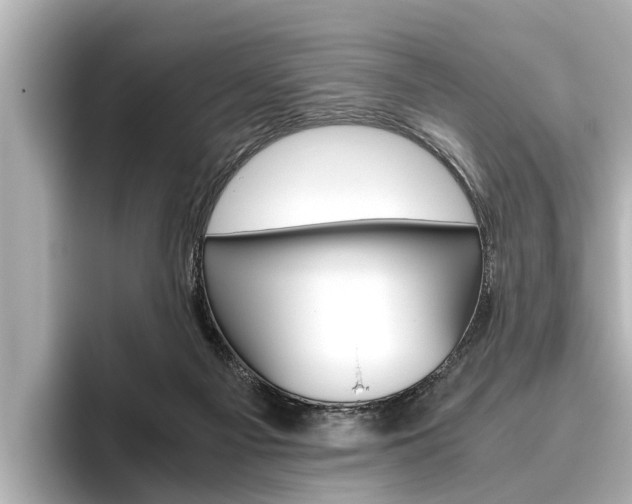 X0000096460121200801241126