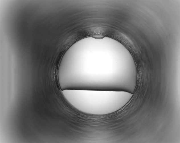 X0000096460122200801241126