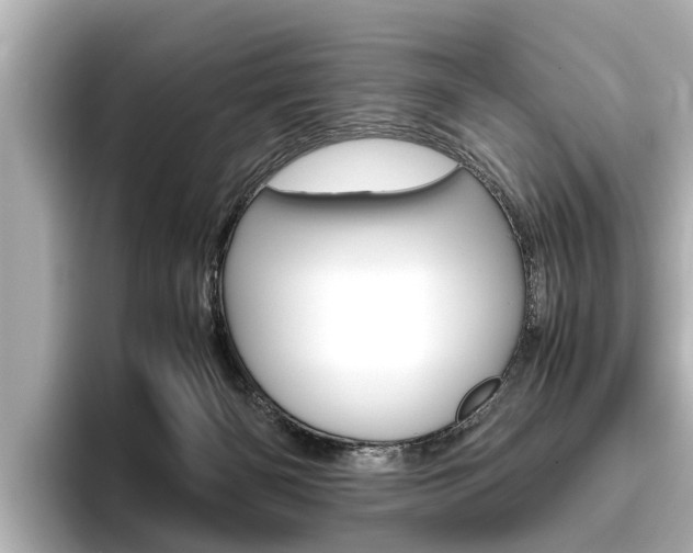 X0000096460126200801241126