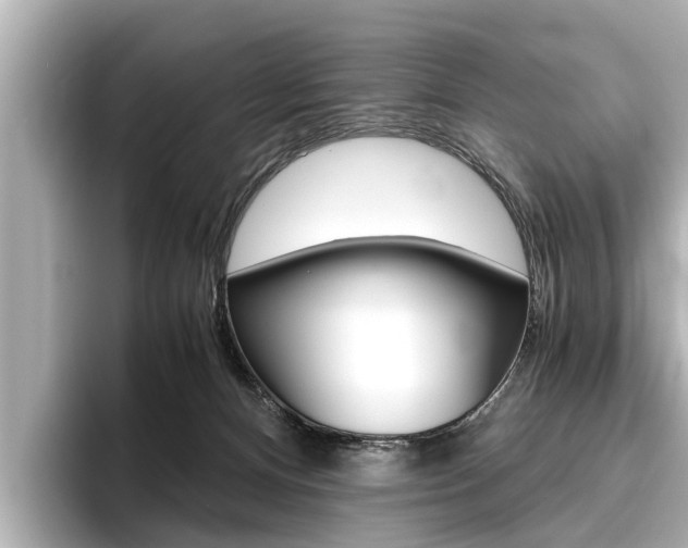 X0000096460128200801241126