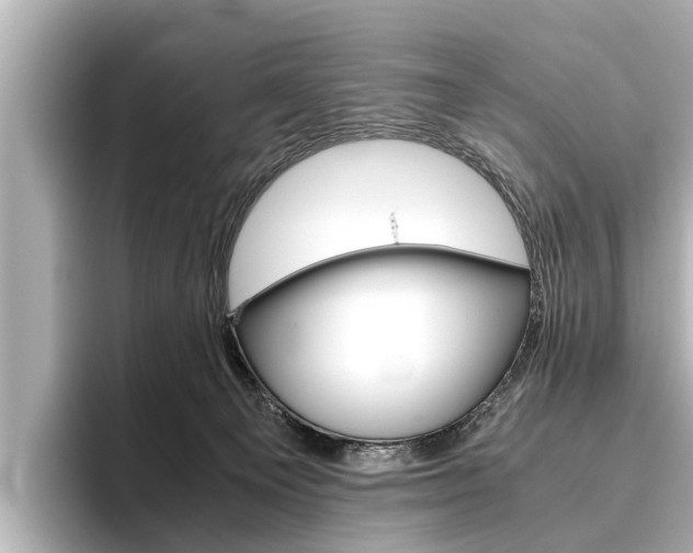 X0000096460129200801241125