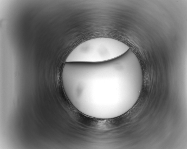 X0000096460130200801241125
