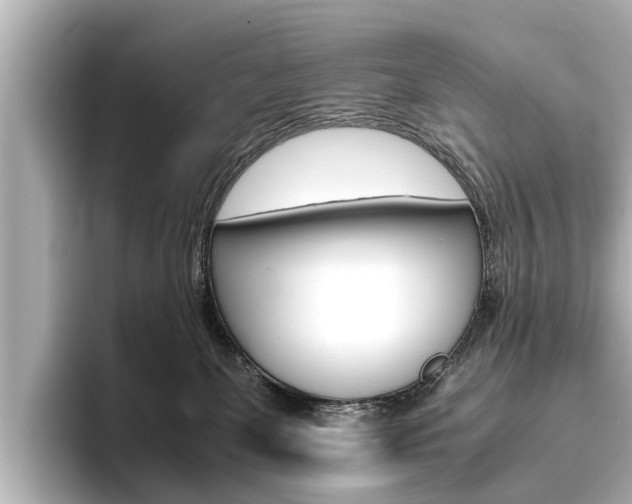 X0000096460131200801241125