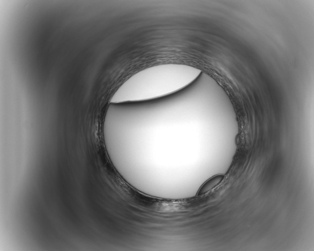 X0000096460134200801241125