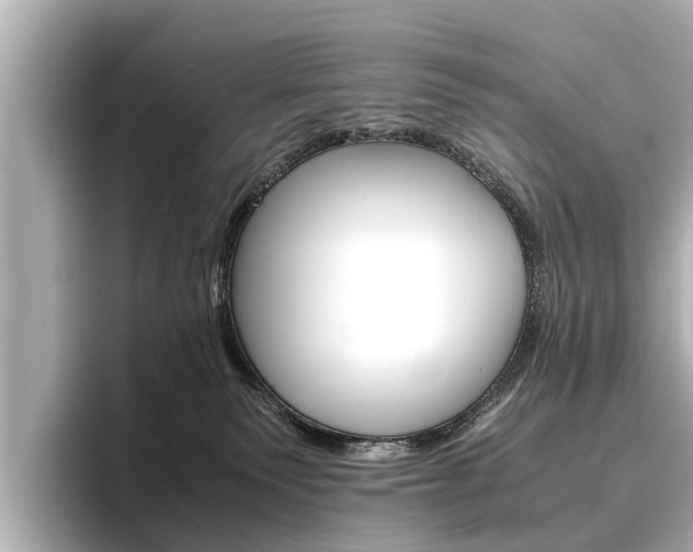 X0000096460135200801241125