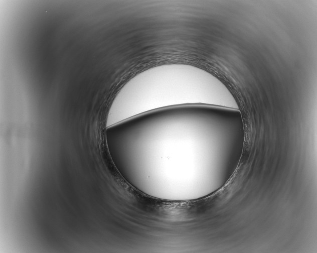 X0000096460136200801241125