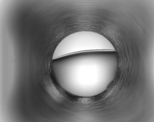 X0000096460139200801241125