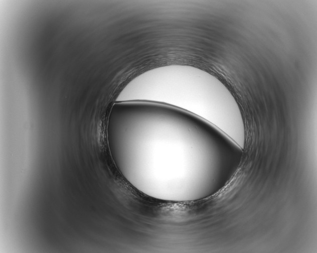 X0000096460140200801241125