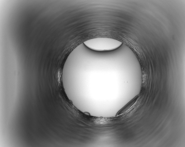 X0000096460142200801241125