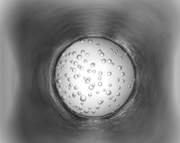 X0000096460145200801241125