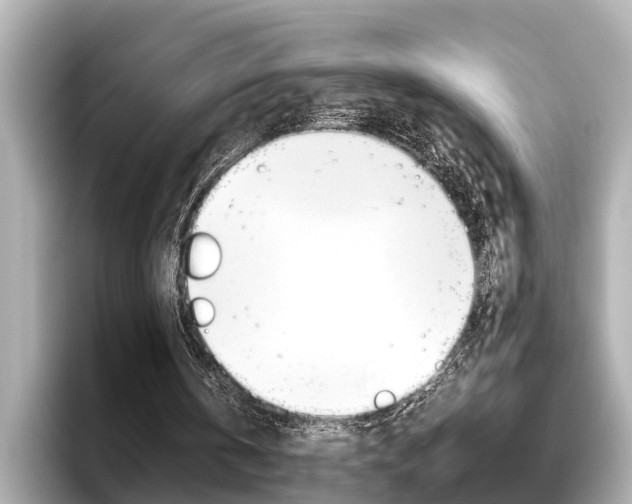 X0000096460146200801241125