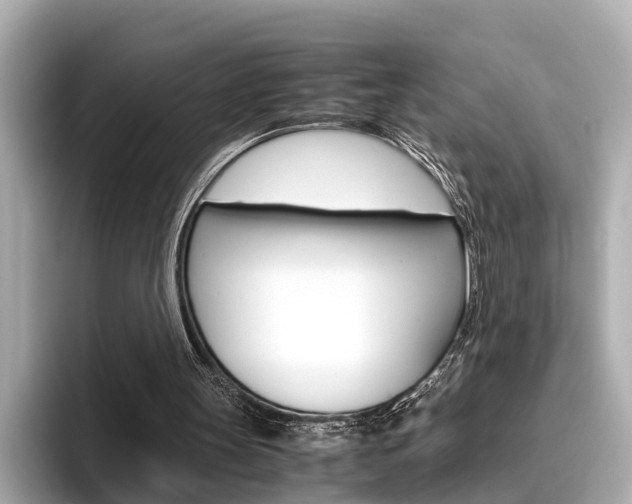 X0000096460147200801241125