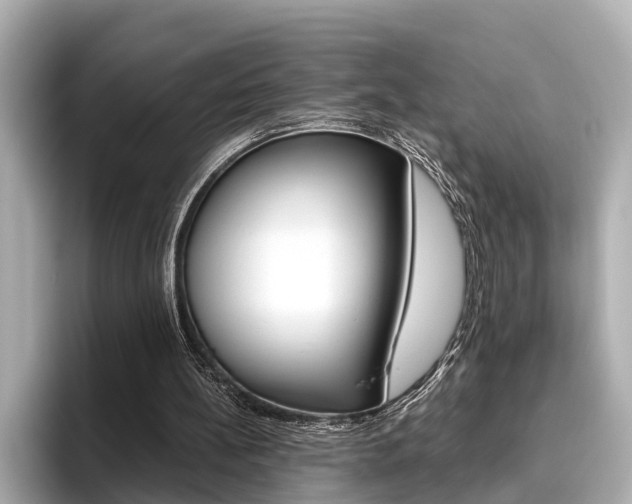 X0000096460148200801241125