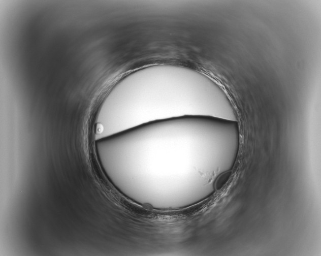 X0000096460149200801241125