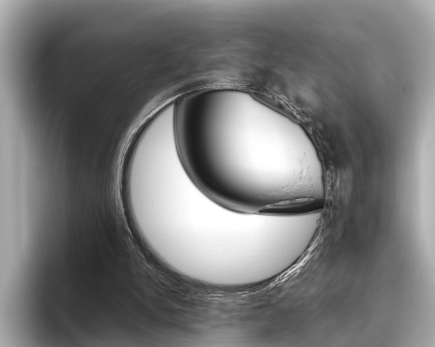 X0000096460150200801241125